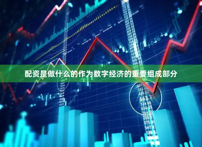 配资是做什么的作为数字经济的重要组成部分