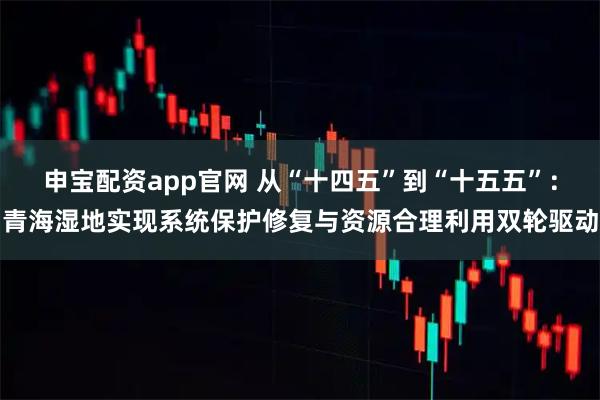 申宝配资app官网 从“十四五”到“十五五”：青海湿地实现系统保护修复与资源合理利用双轮驱动